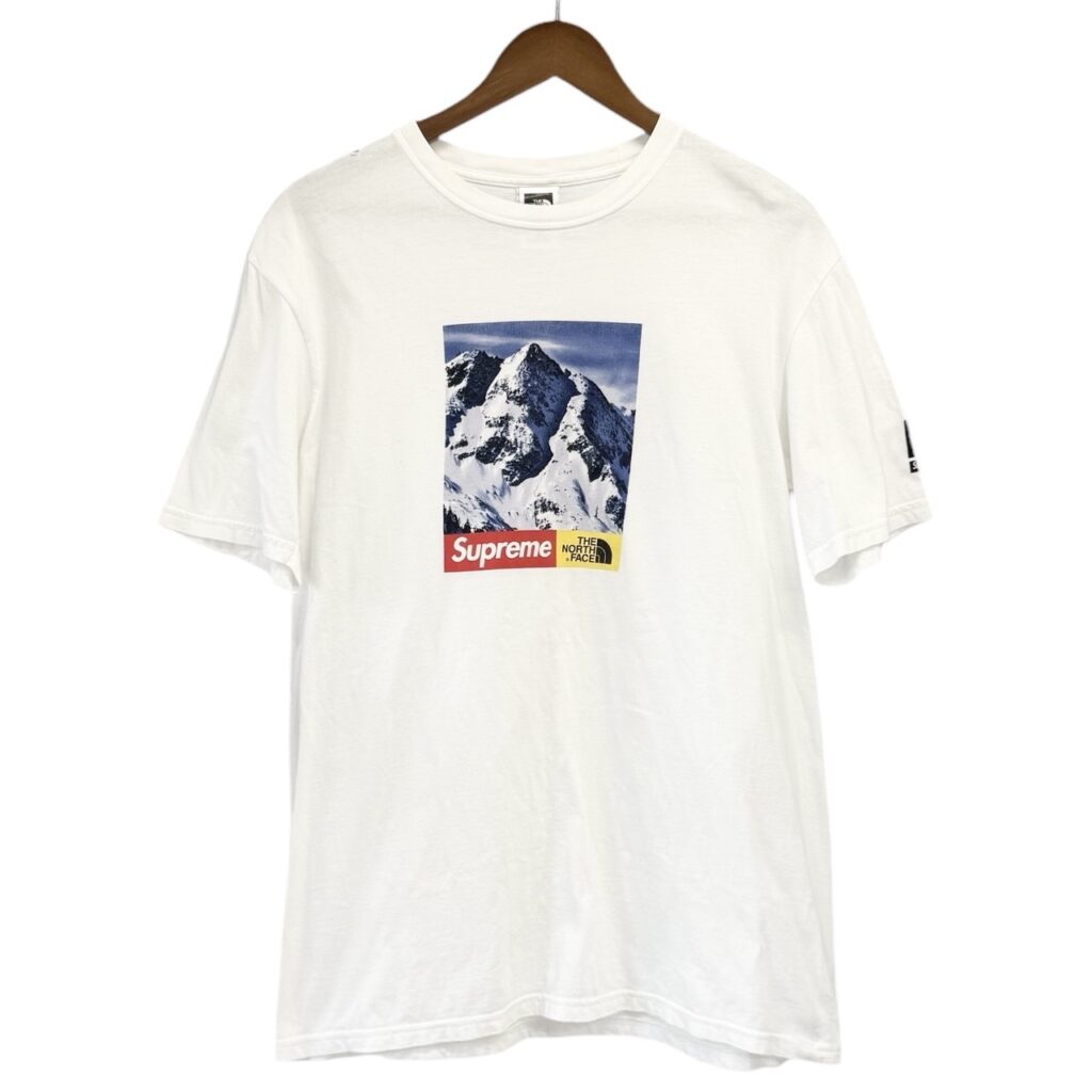 Supreme×THE NORTH FACE シュプリーム ザノースフェイス 17AW Mountain Tee プリントTシャツ NT81702I 